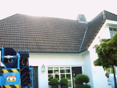 daksanering projecten